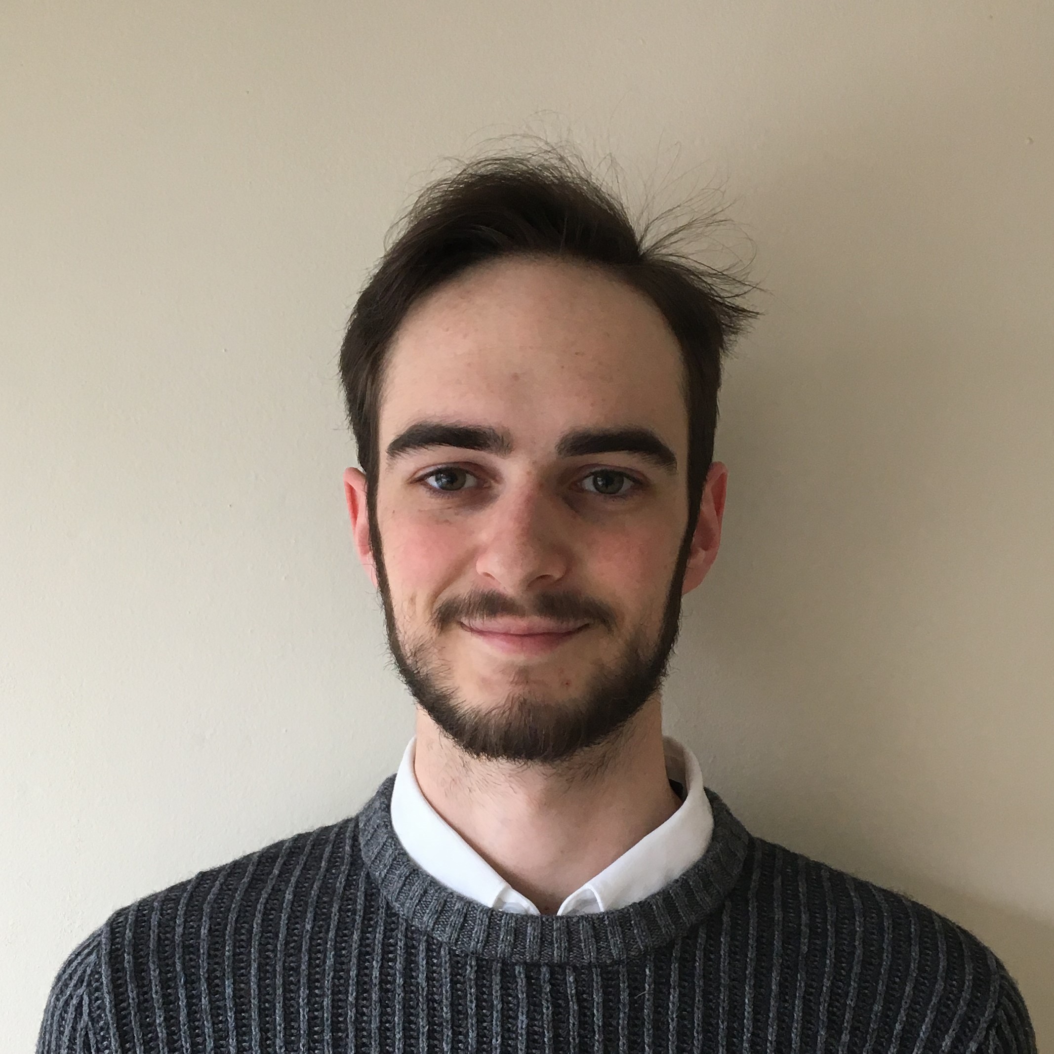 David A Simon Webpage